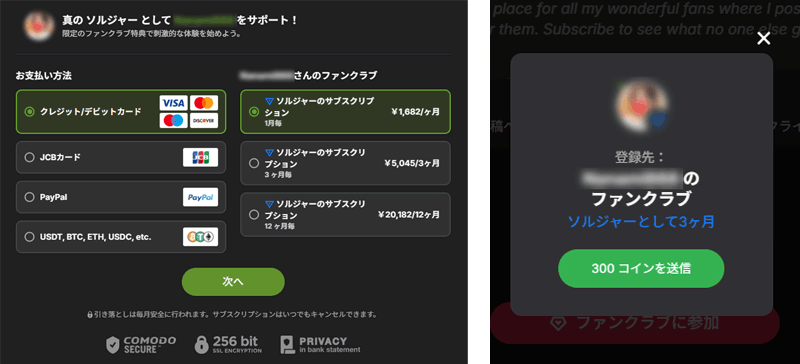 カード支払いとコイン支払い